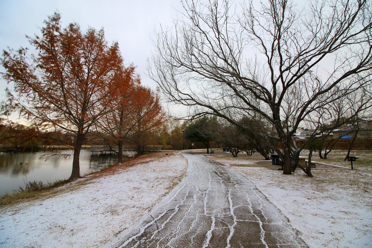 How to Choose the Right Garage Door for Texas Weather